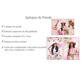 Kit Aniversário Personalizado Ana Castela Rosa